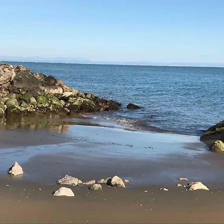 In 54745 * Бибионе